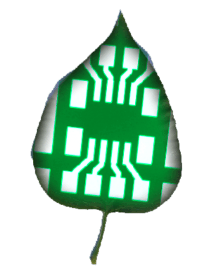 leaf circuit